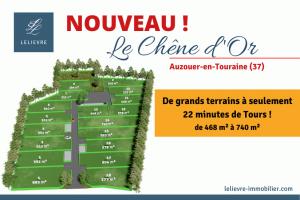 Photo de l'annonce nº 321355486. Terrain à vendre sur Auzouer-en-Touraine