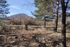 Picture of listing #321407101. Land for sale in Castellane
