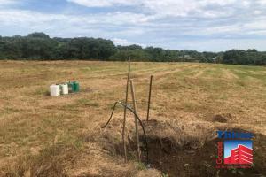 Picture of listing #321419622. Land for sale in Taravao