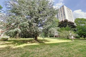 Picture of listing #321564895. Appartment for sale in L'Haÿ-les-Roses