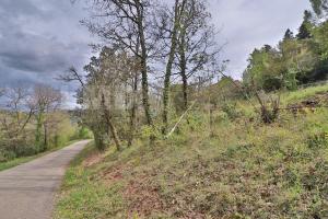 Picture of listing #321818701. Land for sale in Taussac-la-Billière