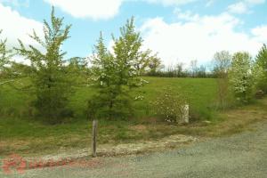 Thumbnail of property #321950722. Click for details
