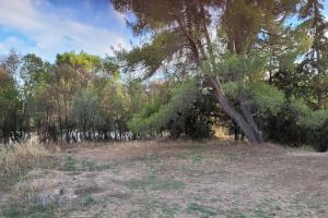 Picture of listing #322001680. Land for sale in Lambesc