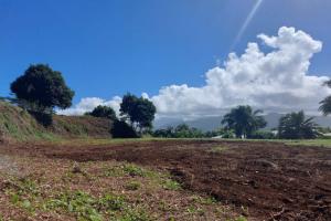 Picture of listing #322120709. Land for sale in Toahotu
