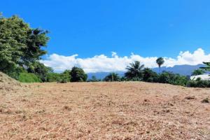 Picture of listing #322120712. Land for sale in Toahotu