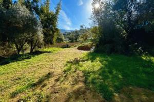 Picture of listing #322278553. Land for sale in Cuttoli-Corticchiato