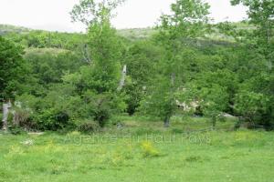 Picture of listing #322305885. Land for sale in Saint-Vallier-de-Thiey