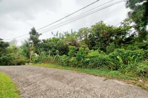 Picture of listing #322308027. Land for sale in Le Lamentin