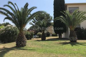 Picture of listing #322369877. Appartment for sale in Montpellier