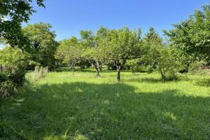 Picture of listing #322508931. Land for sale in Noé