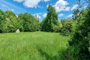 Picture of listing #322776301. Land for sale in Quinsac