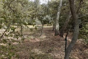 Picture of listing #322789233. Land for sale in Vernègues