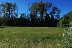 Picture of listing #322789302. Land for sale in Charleval