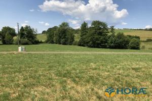 Picture of listing #322914723. Land for sale in Villeparois