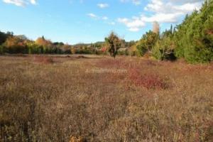 Picture of listing #322951211. Land for sale in Salernes