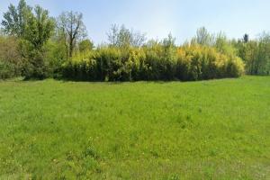 Thumbnail of property #323014846. Click for details