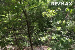 Picture of listing #323077130. Land for sale in Le Moule