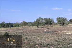 Picture of listing #323096737. Land for sale in La Redorte