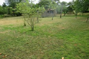 Thumbnail of property #323201937. Click for details