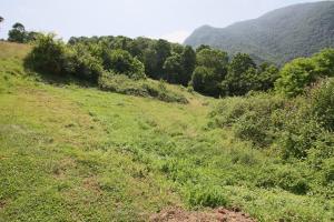 Picture of listing #323273835. Land for sale in Cierp-Gaud