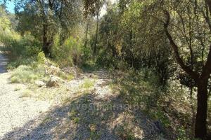 Picture of listing #323281487. Land for sale in La Roquebrussanne