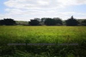 Picture of listing #323293982. Land for sale in Montignac