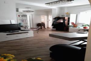 Picture of listing #323357030. Appartment for sale in Bobigny