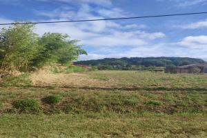 Picture of listing #323511162. Land for sale in Montcaret
