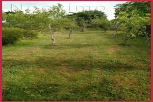 Picture of listing #323516561. Land for sale in Le Trévoux