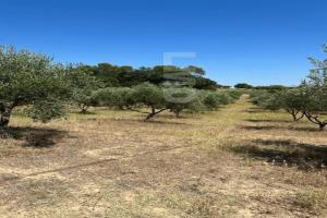 Picture of listing #323527210. Land for sale in Massillargues-Attuech