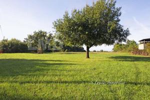 Picture of listing #323528677. Land for sale in Montbartier
