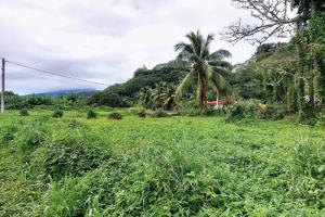 Picture of listing #323541173. Land for sale in Afaahiti