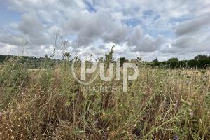 Picture of listing #323546484. Land for sale in Duisans