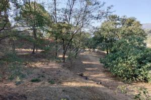 Picture of listing #323669386. Land for sale in Contes
