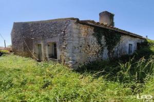 Photo de l'annonce nº 323685852. Maison à vendre sur Saint-Bonnet-sur-Gironde