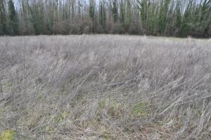 Picture of listing #323699269. Land for sale in Soissons
