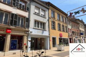 Picture of listing #323701276. Building for sale in Sarrebourg