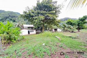 Picture of listing #323704189. Land for sale in Afaahiti