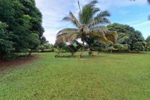 Picture of listing #323721228. Land for sale in Toahotu