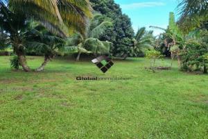 Picture of listing #323721230. Land for sale in Toahotu