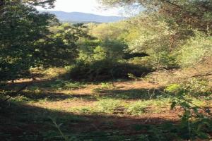 Picture of listing #323748415. Land for sale in Pietrosella