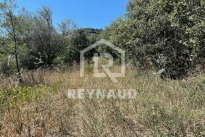Picture of listing #323804159. Land for sale in Octon
