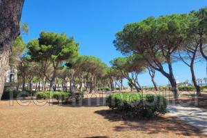 Picture of listing #323879318. Appartment for sale in Argelès-sur-Mer