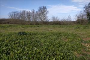 Picture of listing #323959014. Land for sale in Loire-les-Marais