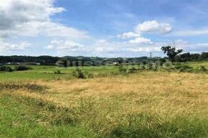 Picture of listing #323966793. Land for sale in Rougemont