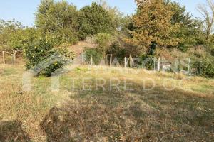 Picture of listing #324043999. Land for sale in Labruguière