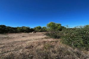 Picture of listing #324110202. Land for sale in Gailhan