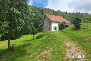 Picture of listing #324203100. Appartment for sale in Gérardmer