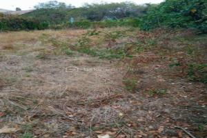 Picture of listing #324221366. Land for sale in Comberouger