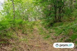 Picture of listing #324227345. Land for sale in Pampelonne